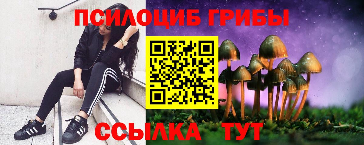 Псилоцибиновые грибы мухоморы Нарткала