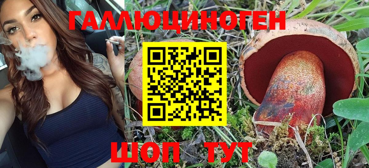 Нарткала  Псилоцибиновые грибы Psilocybe  Вход с VPN 